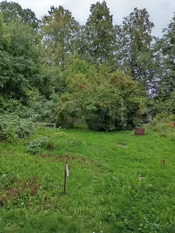Участок 9,5 сот. (ИЖС) - Фото 1