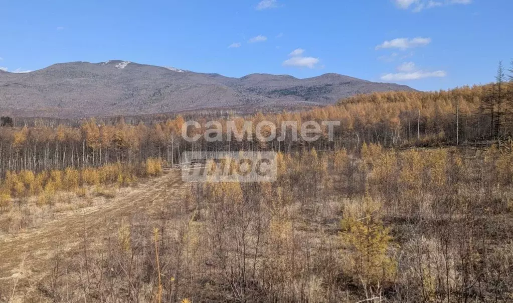 Участок в Сахалинская область, Южно-Сахалинск Весточка жилой квартал,  ... - Фото 1