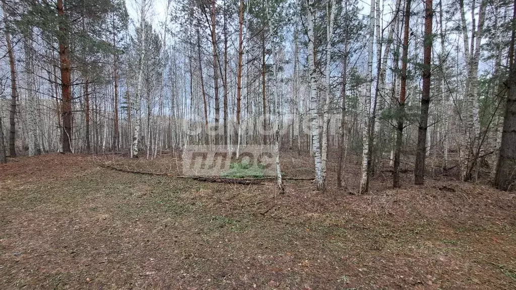 Участок в Пензенская область, Пенза Дизелист СДТ,  (12.0 сот.) - Фото 1