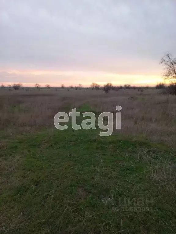 Участок в Крым, Сакский район, Митяевское с/пос, с. Шелковичное  ... - Фото 1