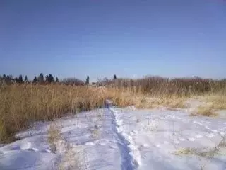 Участок в Тюменская область, Тюмень Ягодное СНТ, ул. Квадрат (9.9 ... - Фото 1