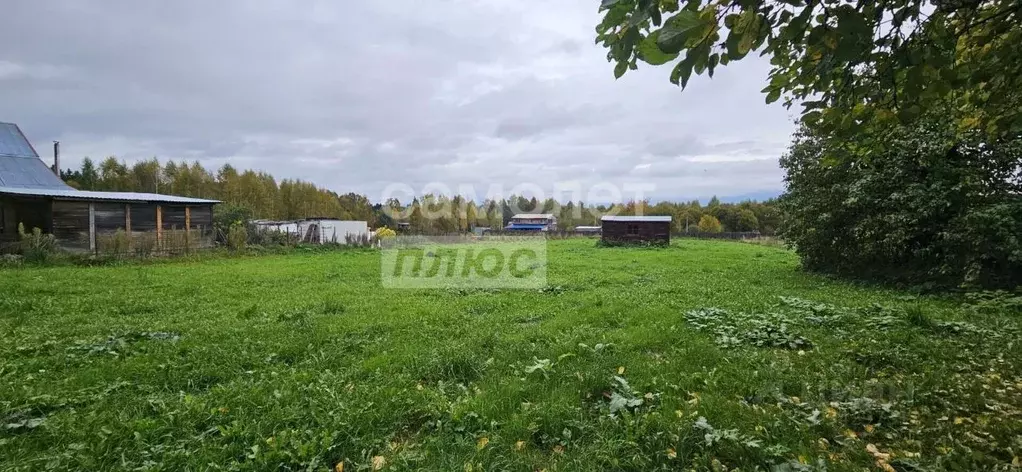 Участок в Московская область, Рузский муниципальный округ, д. ... - Фото 2