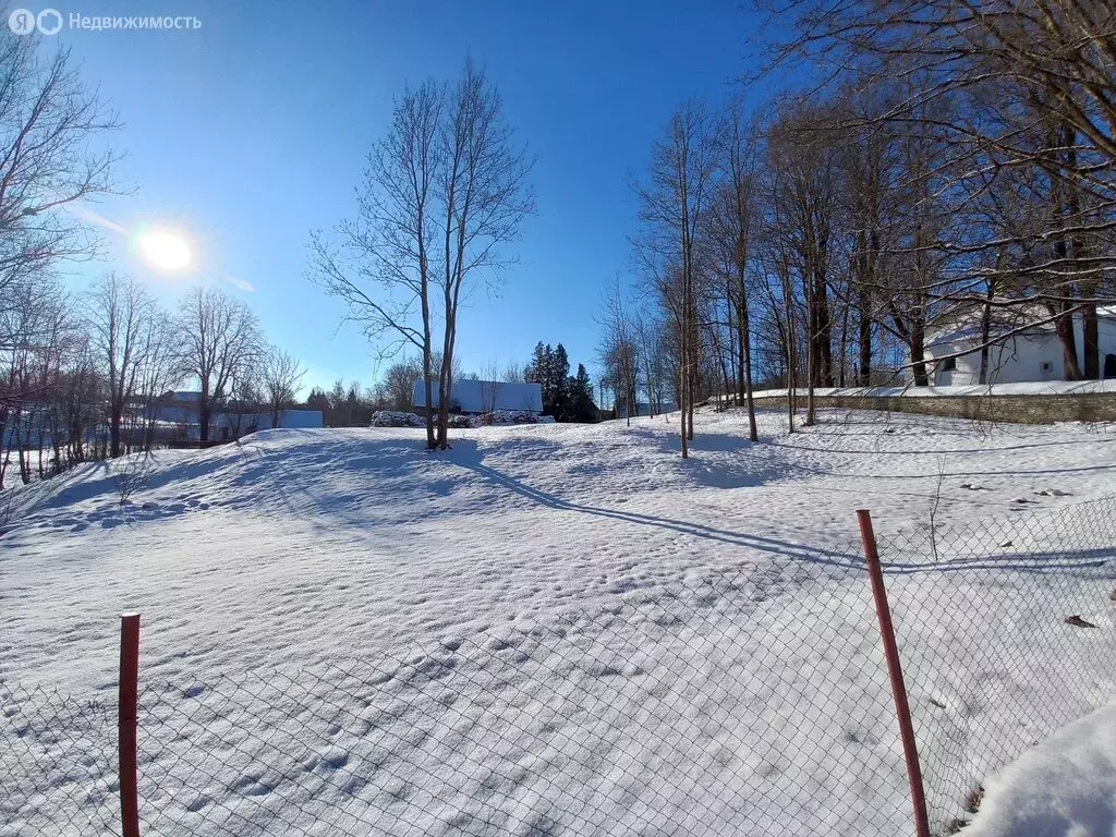 Участок в деревня Изборск, Веровская улица, 6 (25 м) - Фото 0