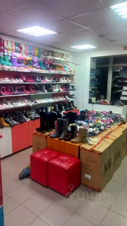 Помещение свободного назначения в Саратовская область, Саратов ул. ... - Фото 1