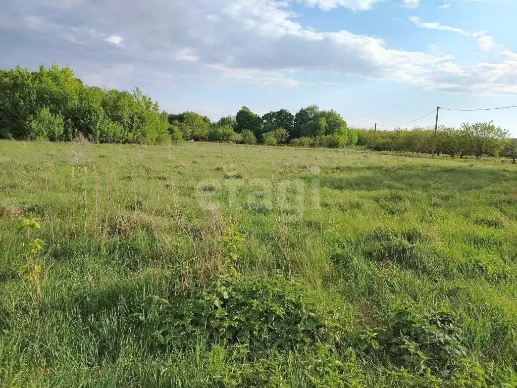 Участок в Белгородская область, Корочанский муниципальный округ, с. ... - Фото 1