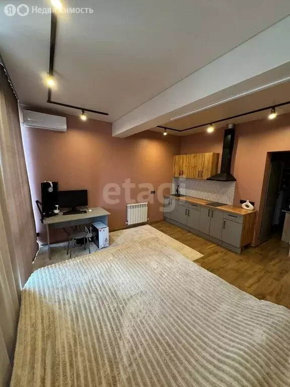 Квартира-студия: Воронеж, Кавалерийская улица, 8 (29.5 м) - Фото 1