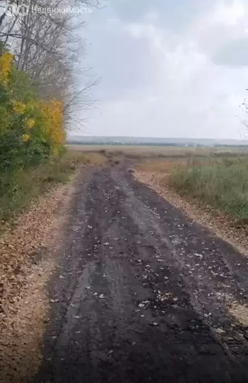 Участок в Уфимский район, Таптыковский сельсовет, село Таптыково (8.29 ... - Фото 1