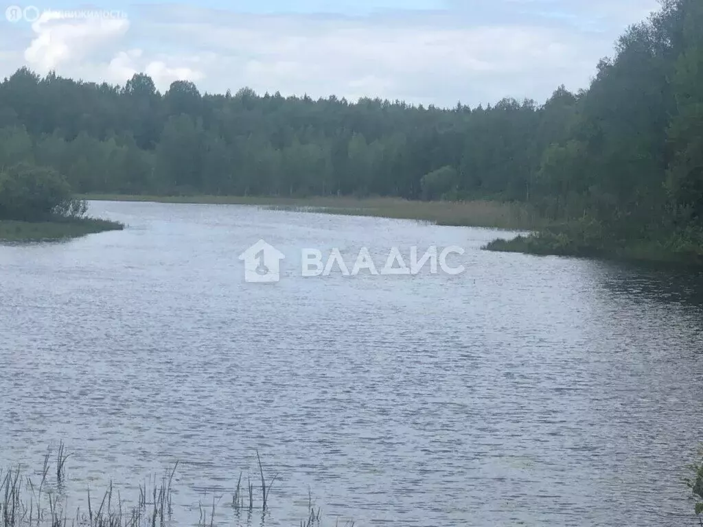 Участок в Выборгский район, Приморское городское поселение (2594 м) - Фото 0