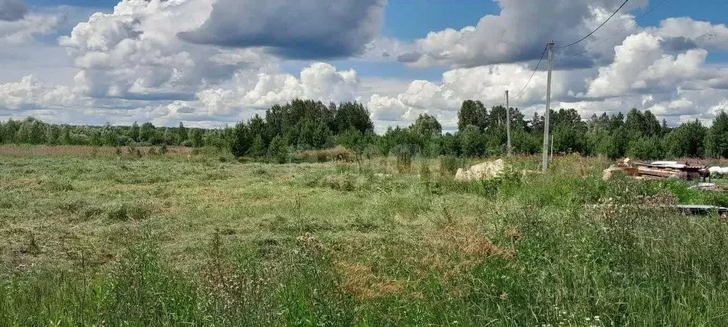 Участок в Тюменская область, с. Нижняя Тавда ул. Бориса Щербины (12.0 ... - Фото 1