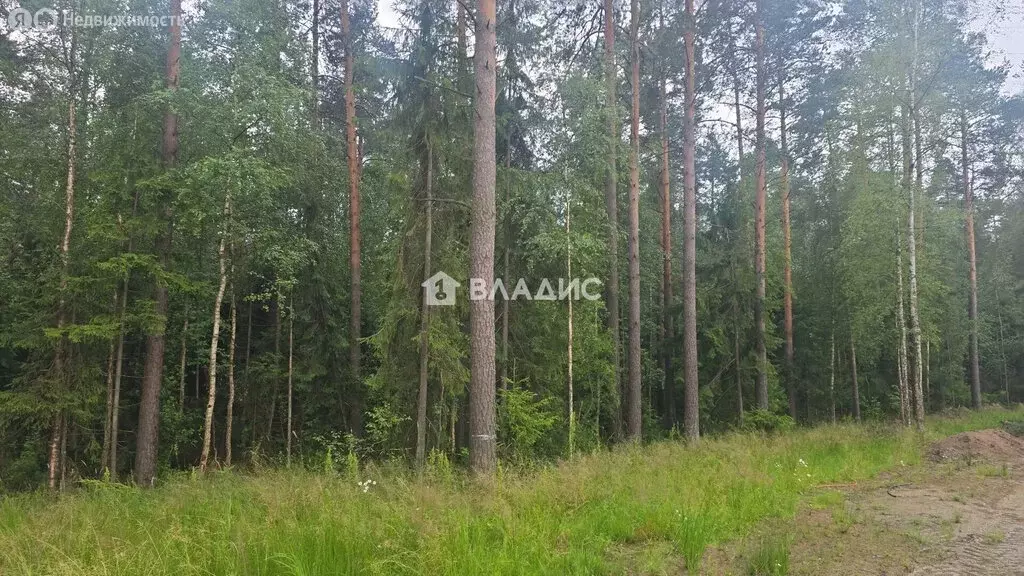 Участок в Всеволожск, улица Мужества, 26 (8 м) - Фото 1