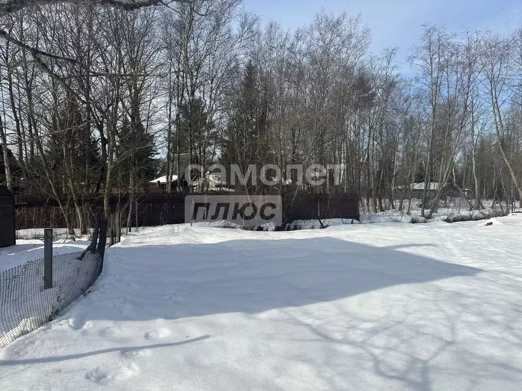 Участок в Московская область, Солнечногорск городской округ, Березка ... - Фото 2
