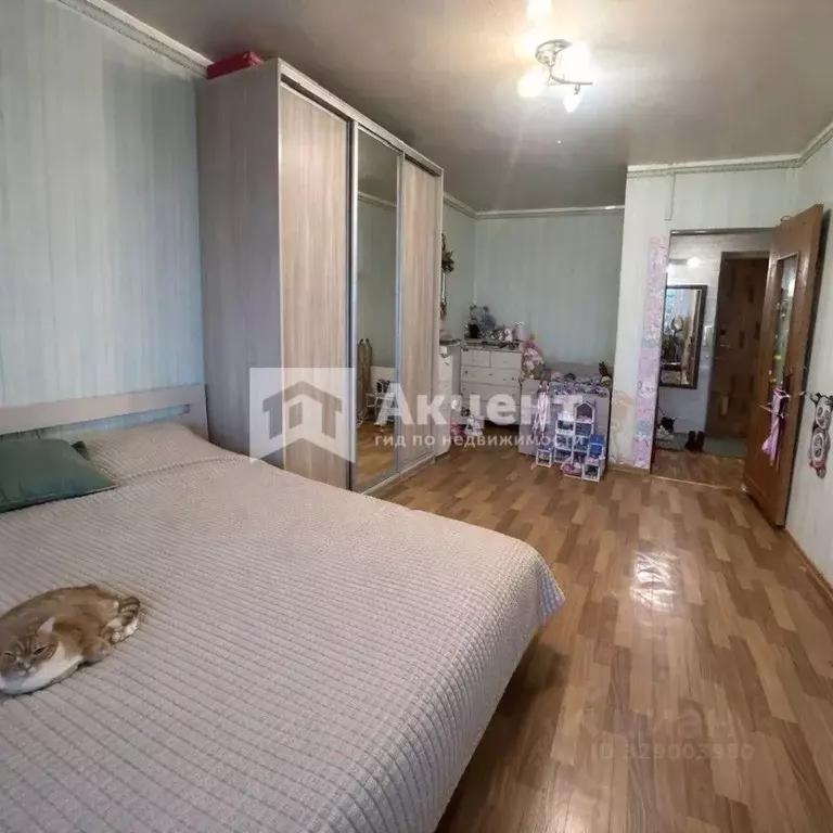 1-к кв. Ивановская область, Иваново ул. Кузнецова, 54 (34.0 м) - Фото 2