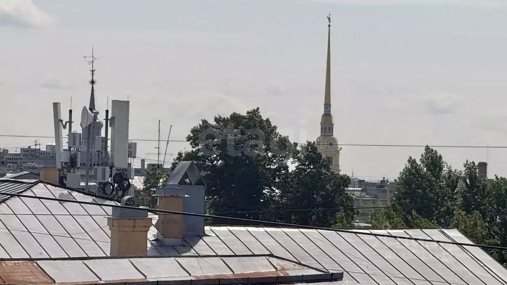 Комната Санкт-Петербург ул. Рентгена, 4 (34.0 м) - Фото 1