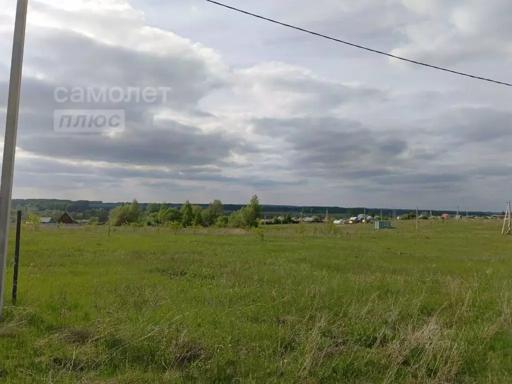 Участок в Башкортостан, Чишминский район, Лесной сельсовет, с. ... - Фото 2