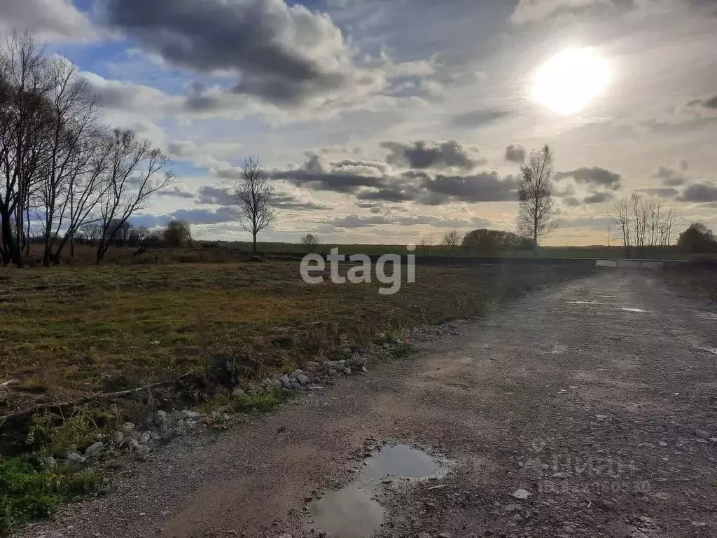 Участок в Калининградская область, Гурьевский муниципальный округ, ... - Фото 1