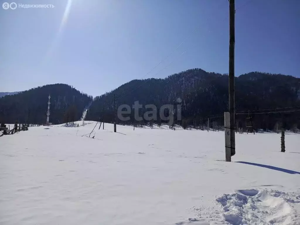 Участок в Усть-Коксинский район, село Кайтанак (20 м) - Фото 1