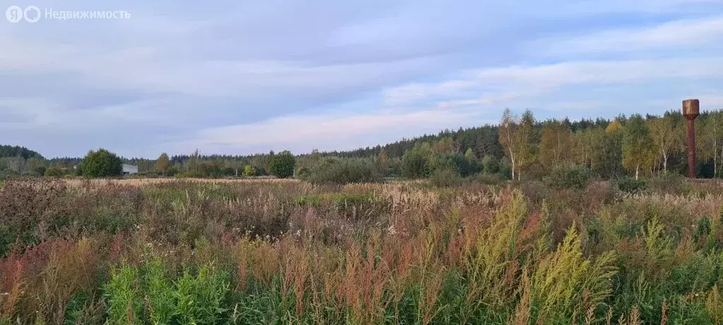 Участок в Владимирская область, Камешковский муниципальный округ, ... - Фото 1