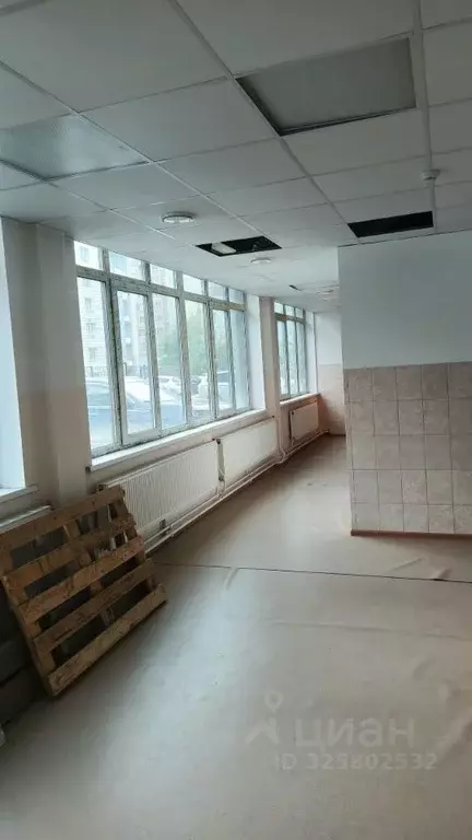 Помещение свободного назначения в Новосибирская область, Новосибирск ... - Фото 2