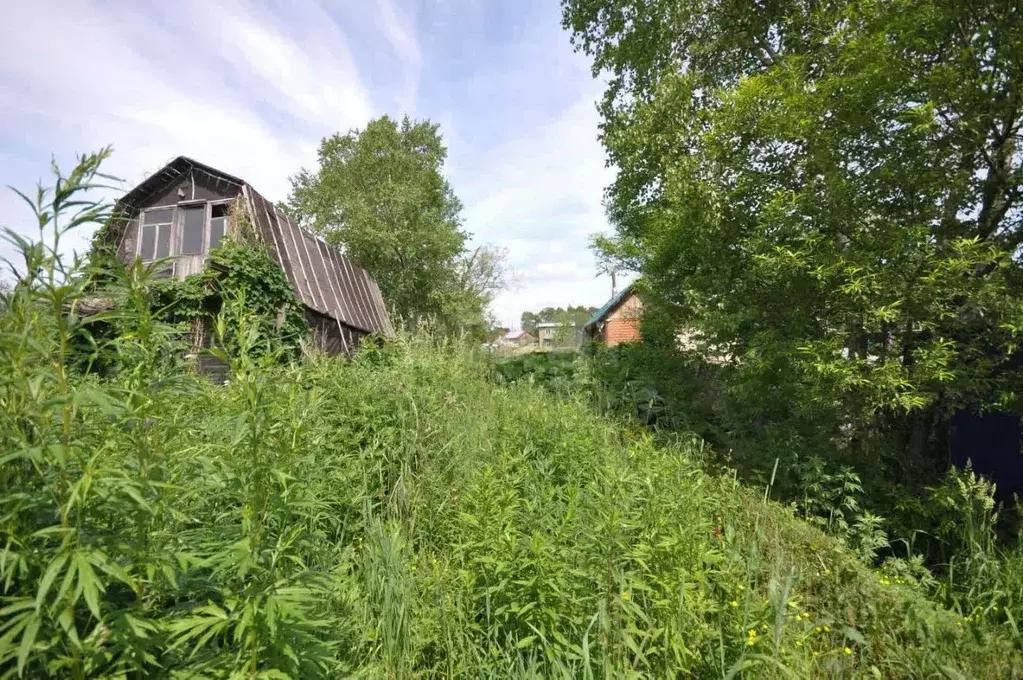 Участок в Сахалинская область, Южно-Сахалинск Овощевод СНТ,  (9.17 ... - Фото 1