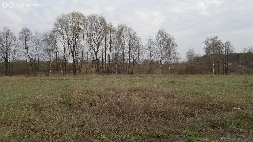 Участок в Раменское, Осенняя улица (15.809999 м) - Фото 1