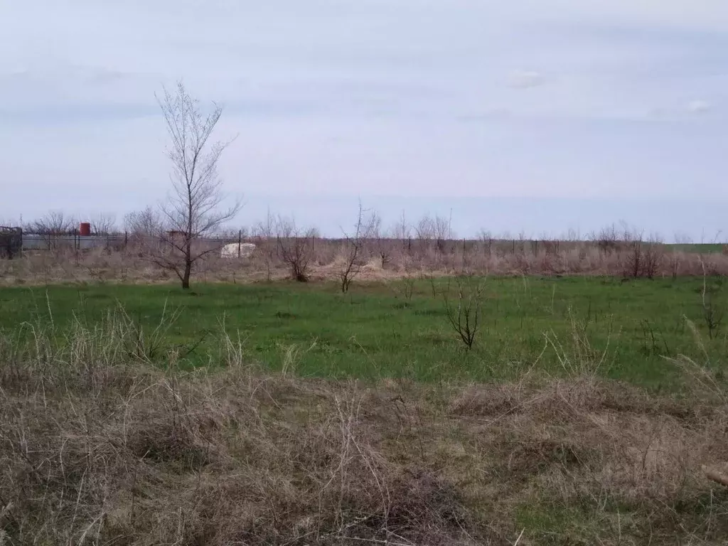 Участок в Саратовская область, Воскресенский район, Елшанское ... - Фото 2
