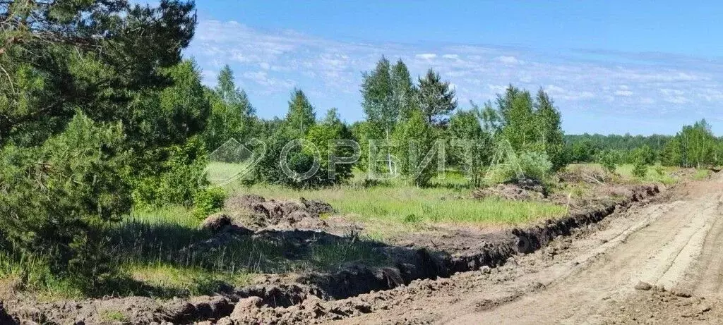 Участок в Тюменская область, Нижнетавдинский район, с. Тюнево  (7.5 ... - Фото 0