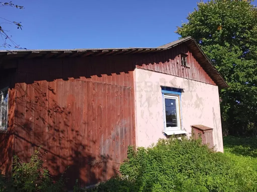 1-к кв. Новгородская область, Сольцы г. Солецкий муниципальный округ, ... - Фото 1