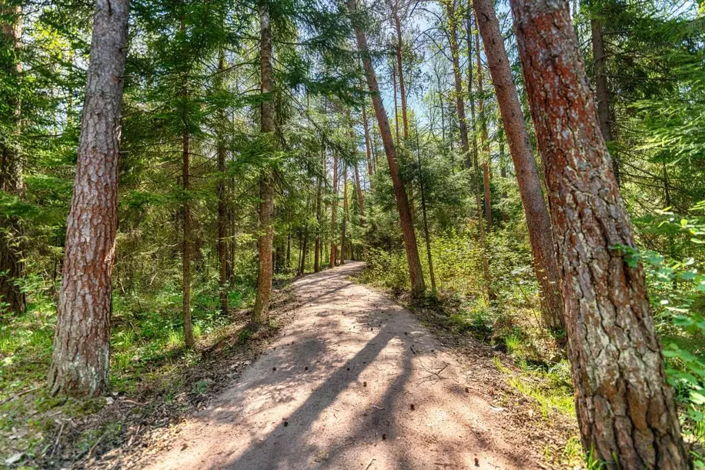Участок в Московская область, Мытищи городской округ, пос. ... - Фото 1