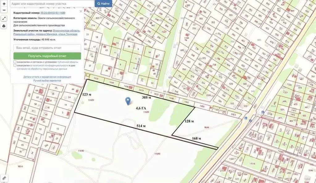 Участок в Воронежская область, Рамонский район, Новоживотинновское ... - Фото 1