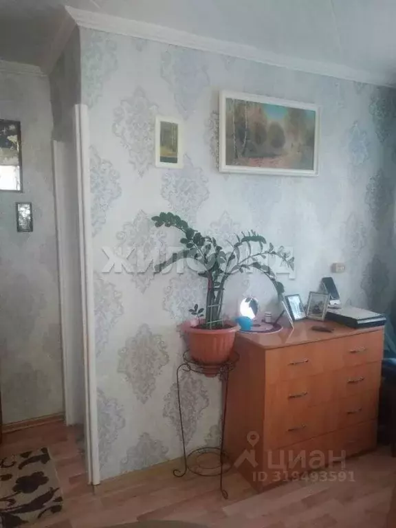 1-к кв. Новосибирская область, Новосибирск ул. Кольцова, 35 (30.0 м) - Фото 0
