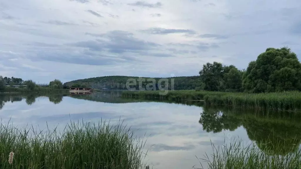 Участок в Белгородская область, Белгородский район, Поселок Разумное ... - Фото 0
