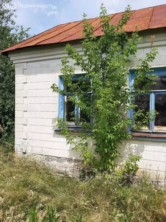Дом в Каменка, улица Замойского, 31 (58.7 м) - Фото 2