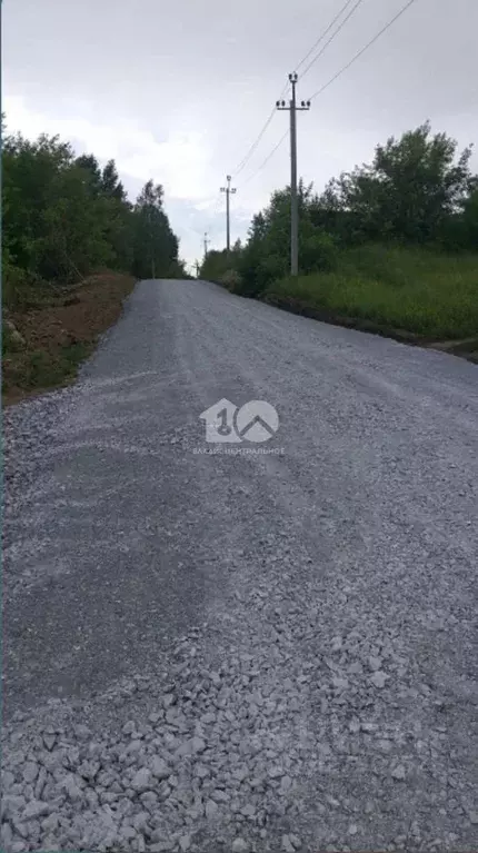 Участок в Новосибирская область, Новосибирский район, с. Раздольное ... - Фото 2