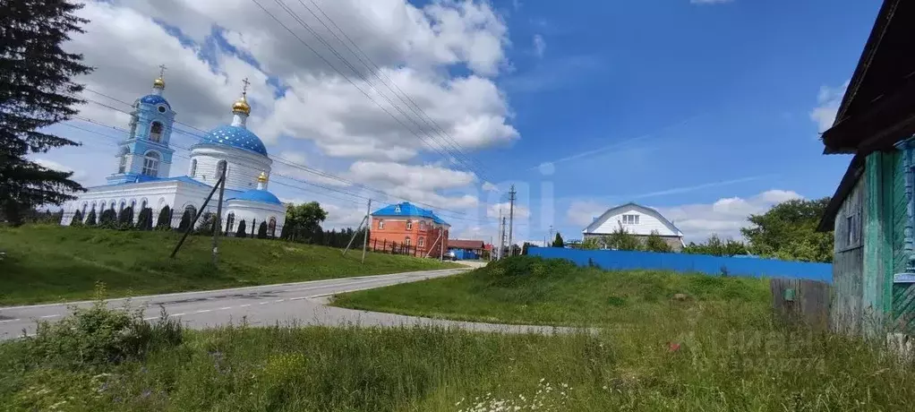Участок в Нижегородская область, Вачский муниципальный округ, с. ... - Фото 1