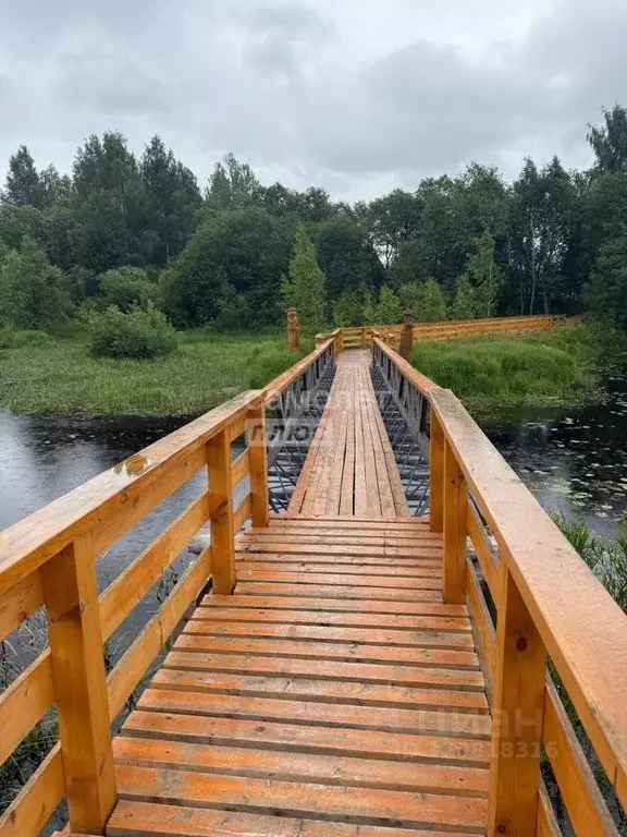 Участок в Вологодская область, Череповецкий район, д. Новое Домозерово ... - Фото 2