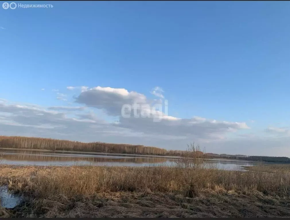 Участок в Тамбовская область, Рассказовский муниципальный округ, село ... - Фото 1