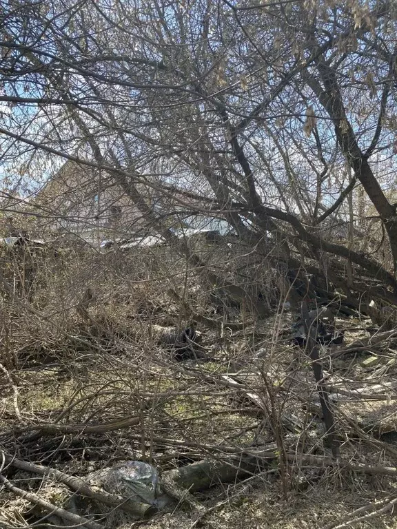 Участок в Нижегородская область, Нижний Новгород Подновье сл.,  (10.16 ... - Фото 1
