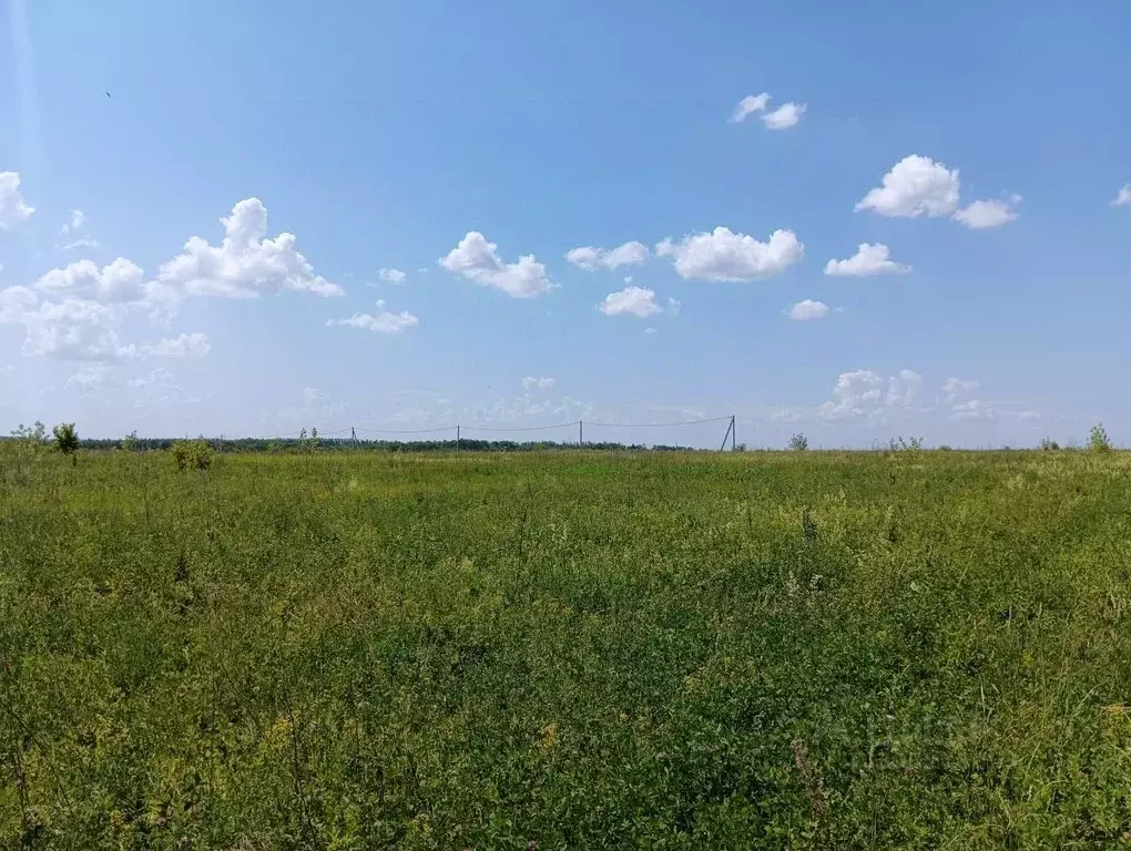 участок в пензенская область, с. бессоновка ул. славы (10.0 сот.) - Фото 1