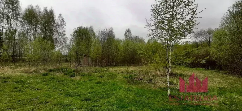 Участок в Тверская область, Конаковский муниципальный округ, Космос ... - Фото 1
