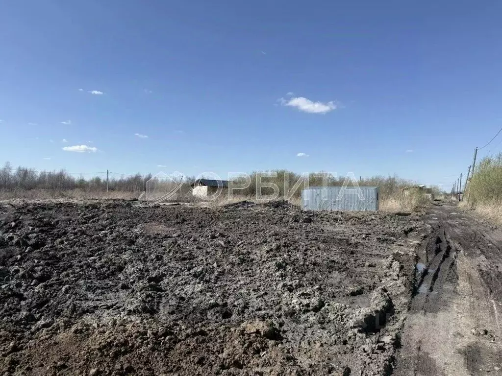 Участок в Тюменская область, Тюмень Факел СНТ, 8-я линия (5.72 сот.) - Фото 1