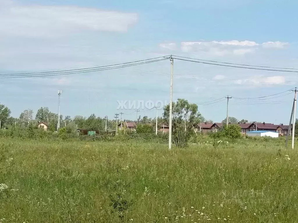 Участок в Новосибирская область, Новосибирский район, Кубовинский ... - Фото 1