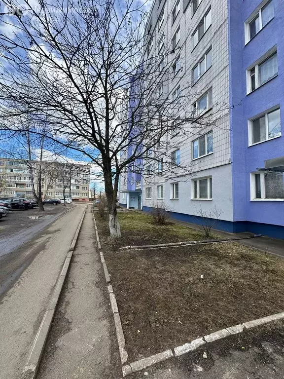 3-комнатная квартира: Кольчугино, Коллективная улица, 37 (63.4 м) - Фото 1