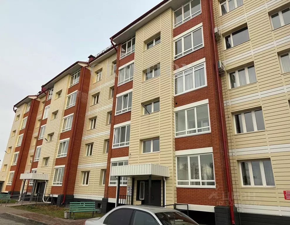 3-к кв. Алтай, Майминский район, с. Майма ул. Березовая роща, 9В (70.0 ... - Фото 1