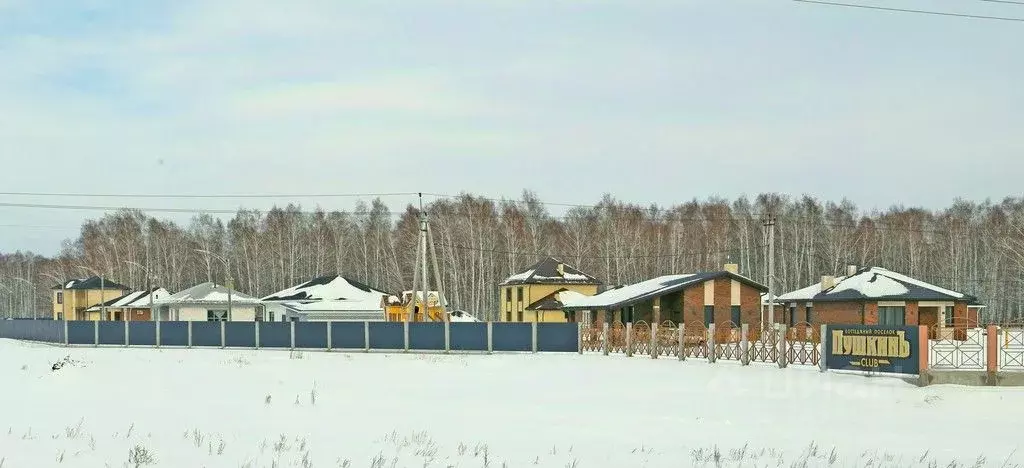 Участок в Омская область, Омский район, с. Пушкино, Пушкинъ Клуб кп . - Фото 0