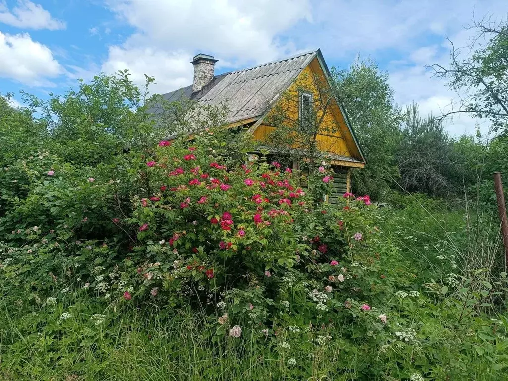 Дом в Ленинградская область, Всеволожский район, Рахьинское городское ... - Фото 0