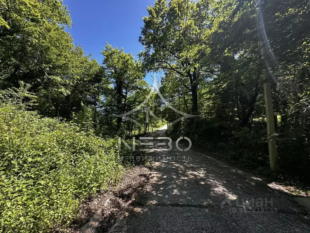 Участок в Краснодарский край, Сочи городской округ, с. Харциз Первый ... - Фото 1