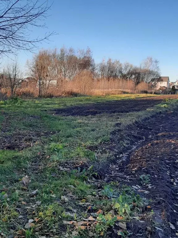 Участок в Московская область, Воскресенск городской округ, д. Щельпино ... - Фото 0