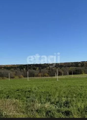 Участок в Пермский край, Пермский муниципальный округ, Полюдовский ... - Фото 1
