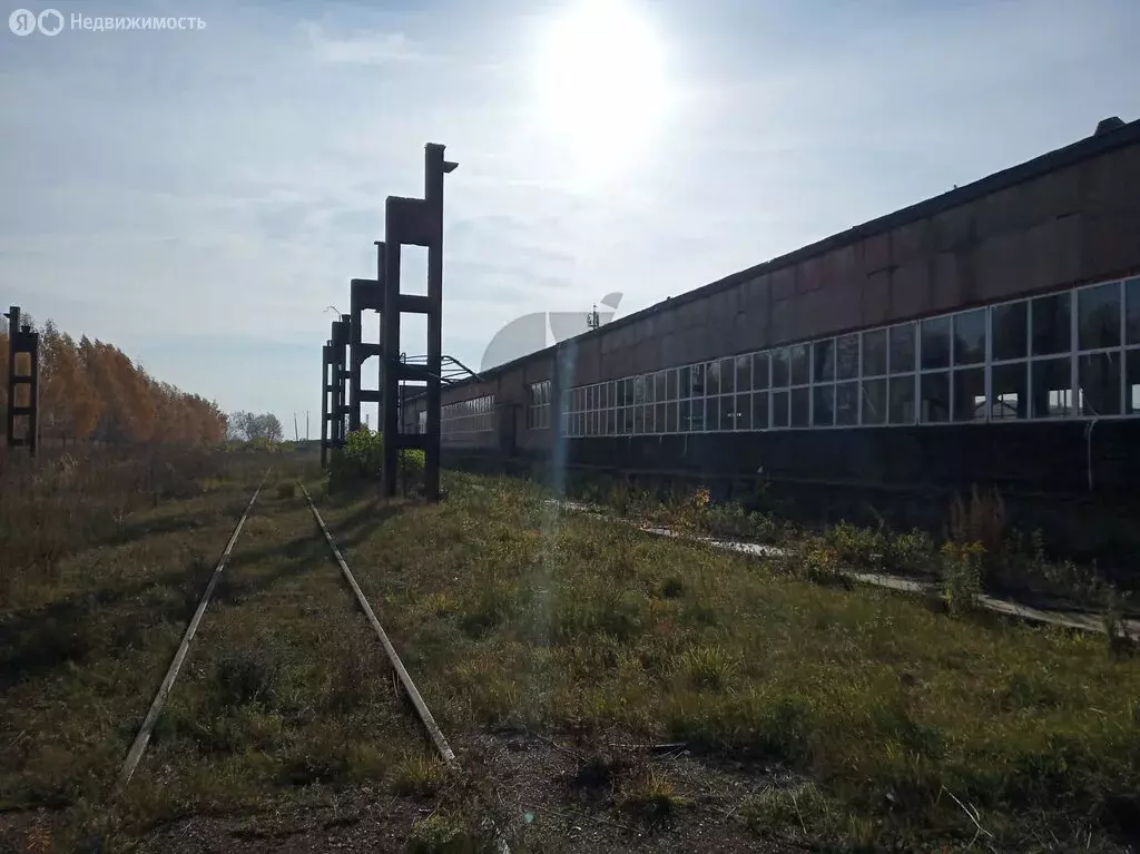 Помещение свободного назначения (1000 м) - Фото 0