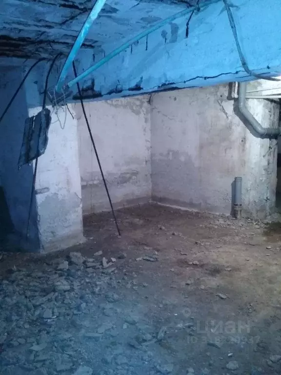 Помещение свободного назначения в Брянская область, Брянск ул. ... - Фото 1